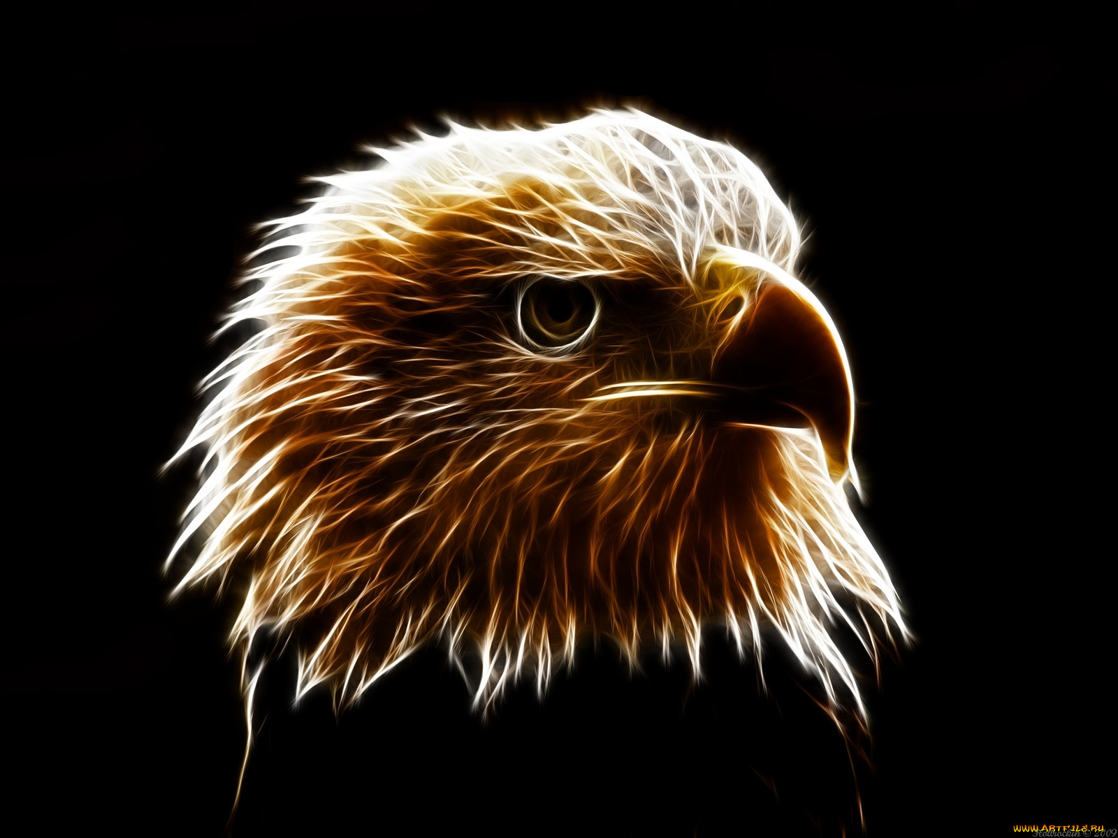 3, , animals, , 